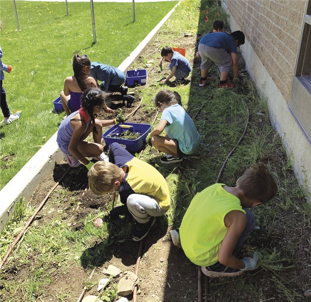 New garden helps students bloom